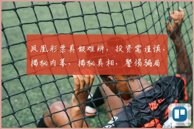 凤凰彩票真假难辨，投资需谨慎，揭秘内幕，揭秘真相，警惕骗局