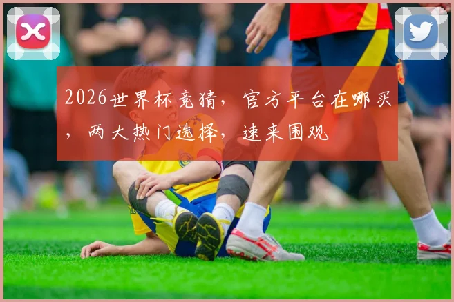2026世界杯竞猜，官方平台在哪买，两大热门选择，速来围观